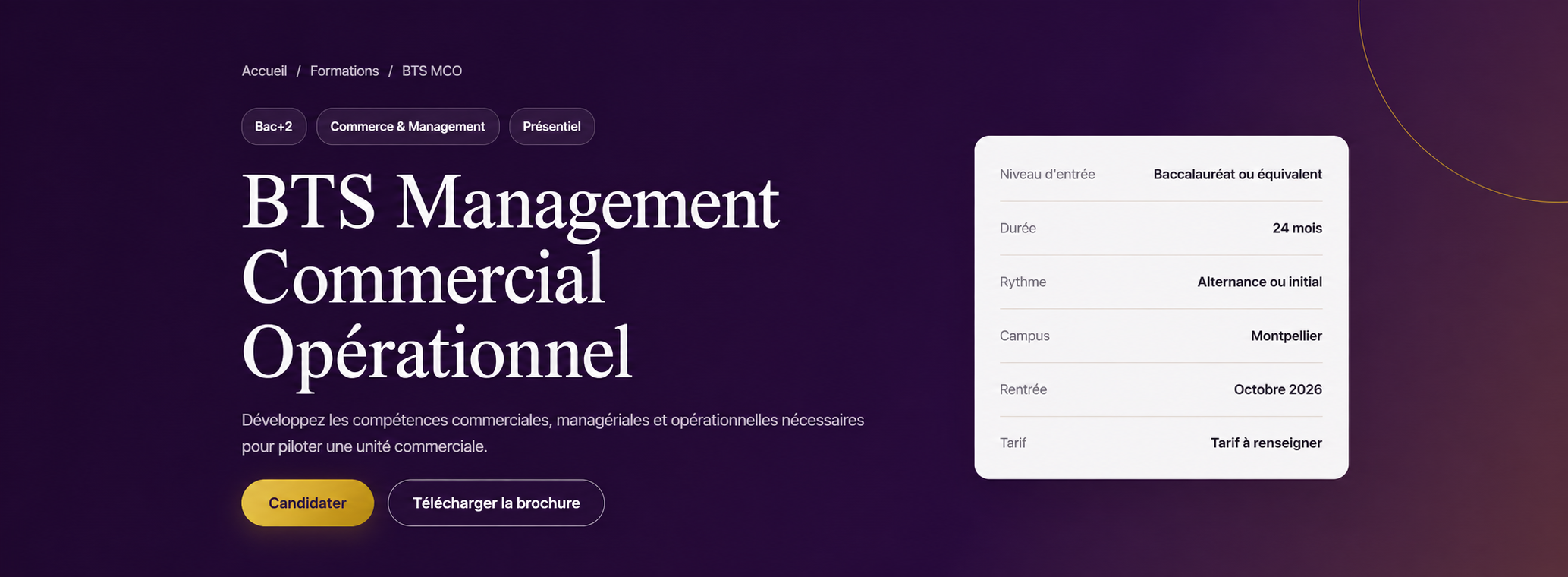 Conception et développement du site de MS International Business School — vue 1